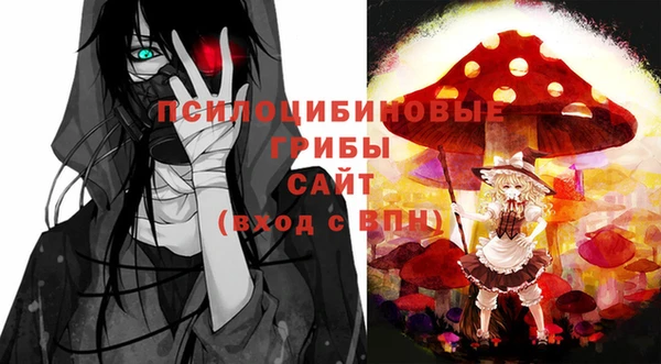 МДПВ Краснотурьинск